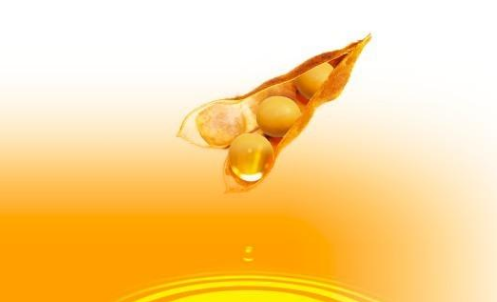 豆油期貨波動(dòng)一個(gè)點(diǎn)多少錢？豆油期