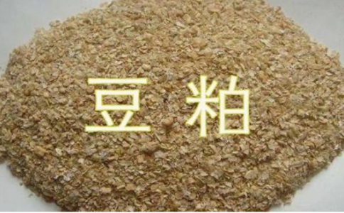 豆粕期貨是屬于熱門品種嗎？豆粕開
