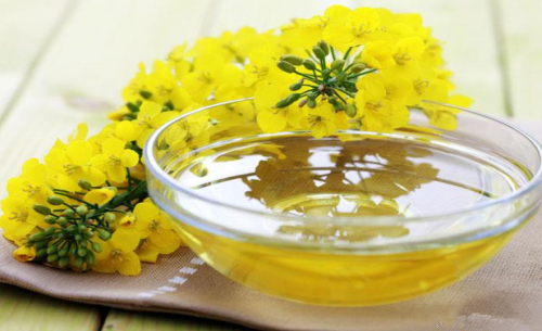 菜油期貨手續(xù)費標(biāo)準(zhǔn)，怎么降低菜油