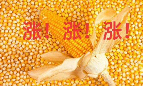 玉米期貨開戶要驗資嗎？為何不能買
