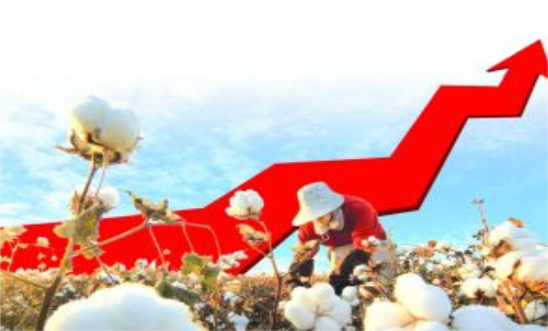 棉花期貨價格變化和哪些因素有關(guān)？