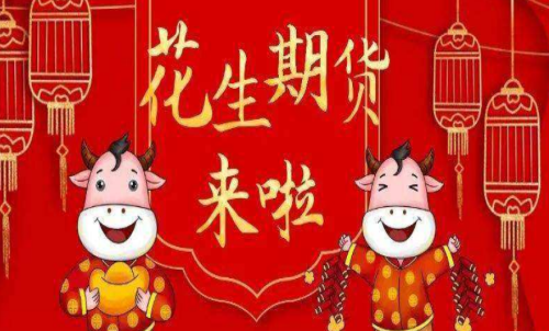 花生期貨的手續(xù)費是多少？花生適合
