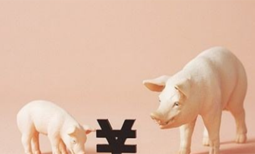一手生豬期貨交易成本要多少錢？保